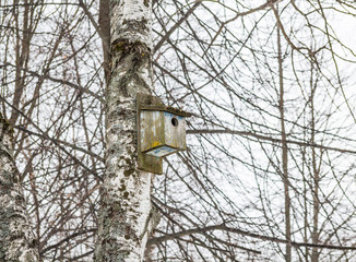 Old wooden birdhouse on a tree. On the background of branches