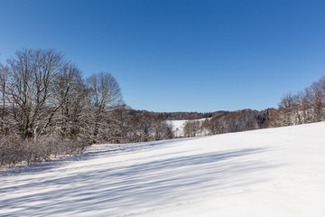 Obraz premium Winter rural landscape with snowy meadow and trees covered with snow