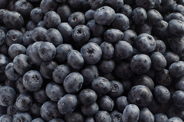fresh blueberries closeup with dew drops