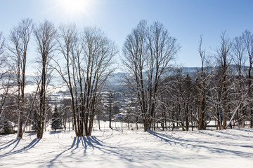 Majestic winter landscape glowing by sunlight in the morning. Dramatic wintry scene.