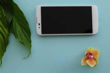 White Smartphone, Fresh Green Leaves and an Orchid Bloom isolated on a Blue Background