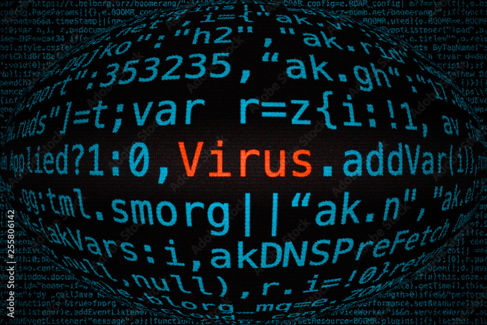 Poster virus in computer program code.