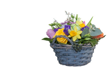 Blumenkorb Osterglocke Freigestellt