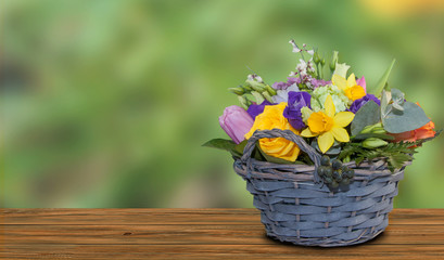 Blumenkorb Osterglocke mit Hintergrund