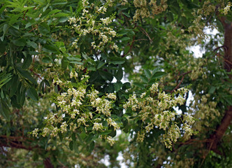 Südtirol Bozen Venediger Straße 9095.1