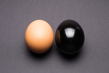 Black and brown egg on a gray background close-up