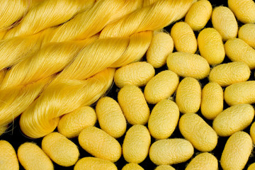 Thai Silk and Cocoon 