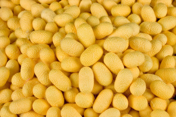 Thai Silk and Cocoon 