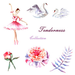 Set of hand painted watercolor ballerina, swans, peonies, twig