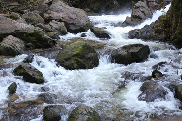 Fototapeta premium ruisseau/cours d'eau- tendon -88