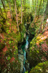 gorge in autumn