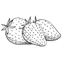 Vector Strawberry healthy food. Black and white engraved ink art. Isolated berry illustration element.