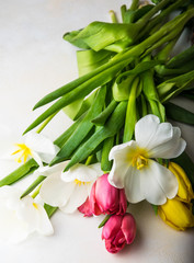 rich colors of spring tulips