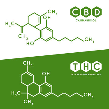 Thc And Cbd Formula. Cannabidiol And Tetrahydrocannabinol Molecule Structure Compound. Medical Marijuana Molecules Vector Illustration