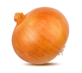 Fresh onion isolated on white background  with clipping path