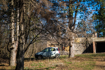 Obraz na płótnie Canvas Small car parked in the forest by the ruins of the old building