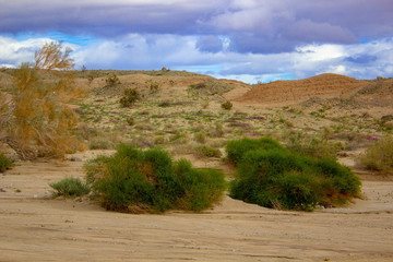 San Diego and the desert