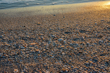 Sunset lighting up sea shells on a Florida Gulf Coast Beach.