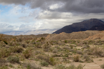 San Diego and the desert