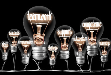 Light Bulbs Concept