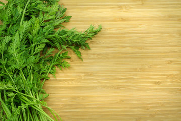 Fresh Green Carrot Stems on Bamboo