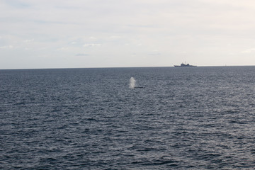 San Diego and the desert