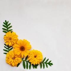 Corner with sunflowers. Isolated on white background