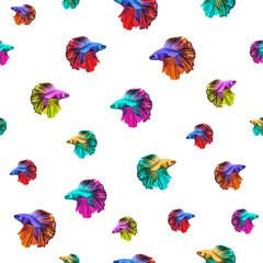 Watercolor seamless pattern of motley Betta splendens