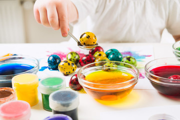 Child pulled yellow quail egg from paint