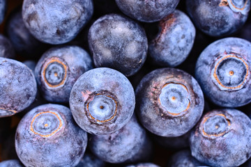 Close Up of fresh blueberries scattered as background
