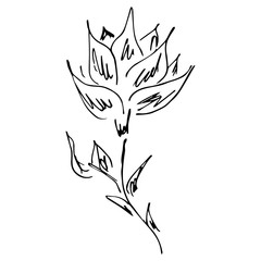 Hand Drawn Illustrations Of Abstract Flowers Isolated on White. Hand Drawn Sketch of a Flower