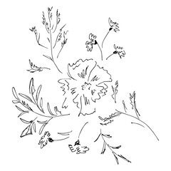 Hand Drawn Vector Illustrations Of Abstract Set of Flowers Isolated on White. Hand Drawn Sketch of a Flowers