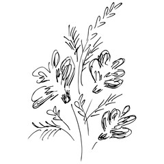 Hand Drawn Vector Illustrations Of Abstract Set of Flowers Isolated on White. Hand Drawn Sketch of a Flowers