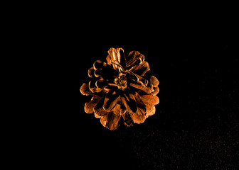 christmas pine cones on black background