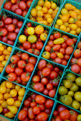 farmers market tomatoes