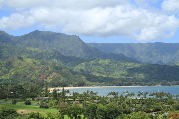 Fototapeta na wymiar Kauai 342