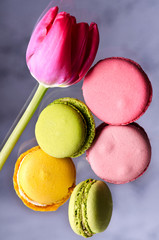 Colorful french macarons, almonds and tulips. Spring, womens day , desserts concept