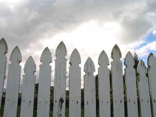 New Zealand. Nature in Hamilton. Waitomo