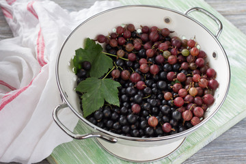 Fresh organic berries black currant and gooseberry in a colander