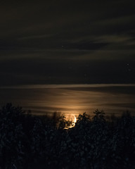 Moonset over snowy pines at night