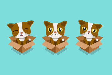 Vector cartoon illustration set of cat in cardboard box for design.