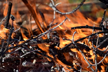 Burning Fire Firefighting Danger Nature Wood Background Stock Photo