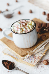 Hot chocolate with marshmallows