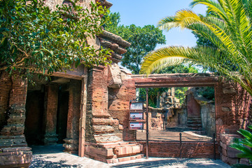 Fototapeta premium Zoo