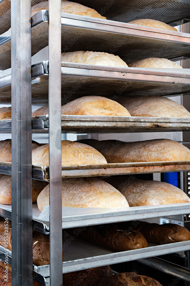 Poster breads on the shelf in the bakery
