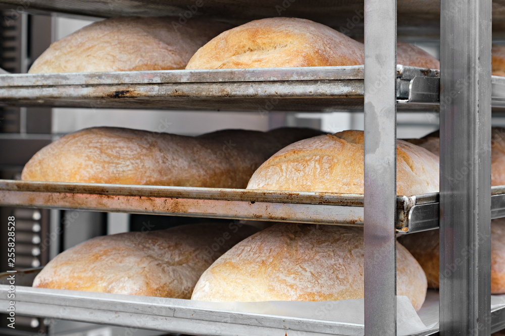 Poster breads on the shelf in the bakery