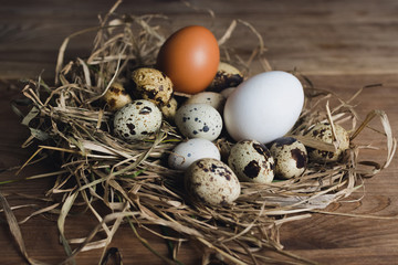 Naklejka na ściany i meble Quail eggs in nest from straw on wooden table