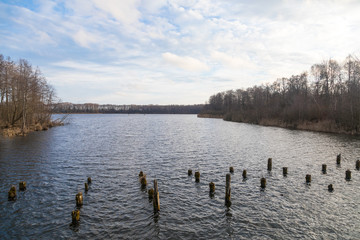 landscape with lake and trees