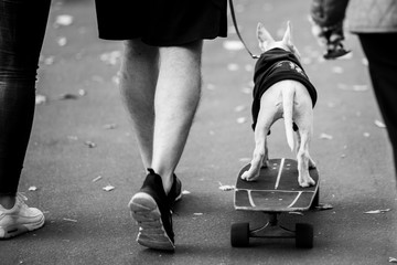 Black and white photo from back of man with dog on skateboard .