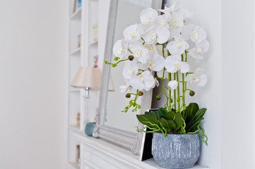White Orchid in a pot on the fireplace. Stylish interior background.